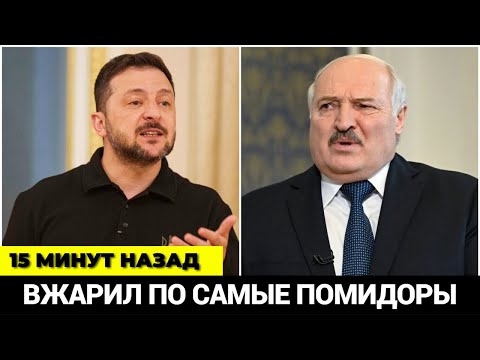Видео: 15 минут назад! Зеленский жестко осадил Лукашенко! Вжарил по самые помидоры!