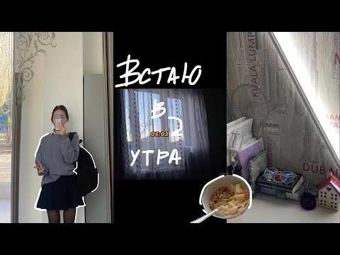 Видео: встаю в 5 утра *влог*