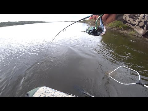 Видео: Стоило ПОДЫГРАТЬ! Рыбалка на Оке на Спиннинг 20 сентября! Рыбалка на Джиг с Лодки
