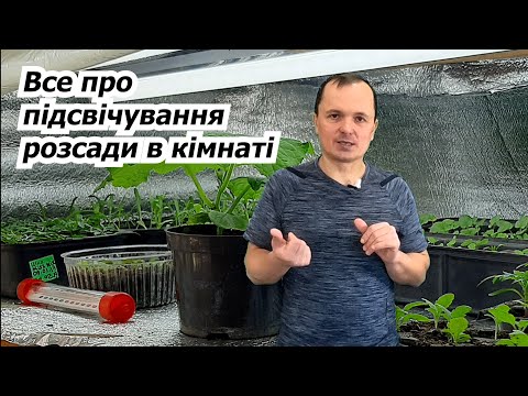 Видео: Скільки годин на добу підсвічувати розсаду, щоб вона не потягнулась.