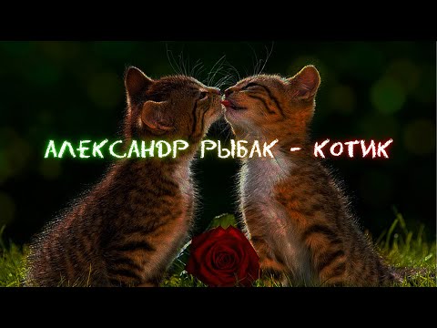 Видео: Александр Рыбак - Котик [slowed]