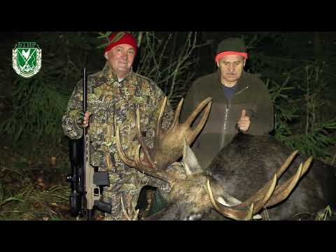 Видео: Охоты на Лося в Беларуси