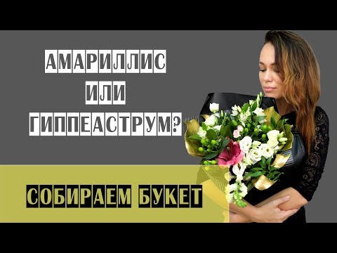 Видео: АМАРИЛЛИС ИЛИ ГИППЕАСТРУМ? Собираем букет
