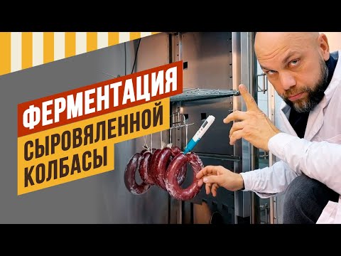 Видео: Ферментация сыровяленой колбасы. Готовая мини-салями. Хамон, Коппа. Серия 2.Давайте вялить вместе 6