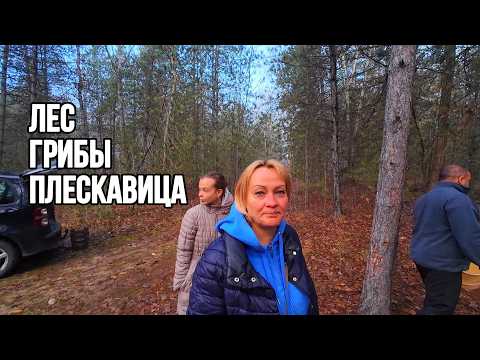 Видео: Жизнь в Деревне в Сербии. Юбилей  у школы. Лес, грибы, плескавица.