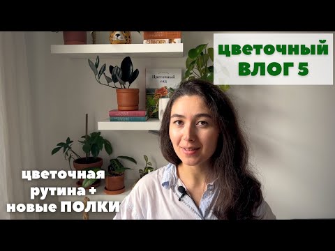 Видео: ЦВЕТОЧНЫЙ ВЛОГ 5 / Полив и пересадка растений + обзор НОВЫХ ПОЛОК
