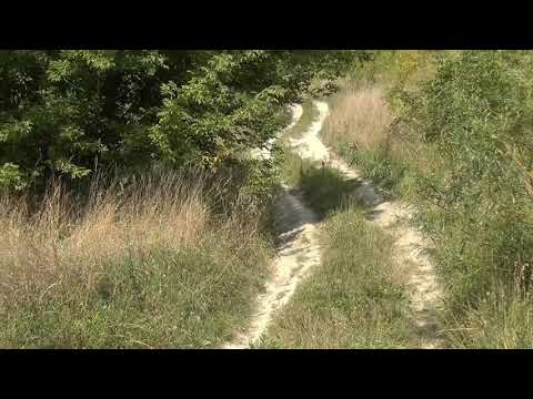 Видео: Погибшая деревня. Курская область.