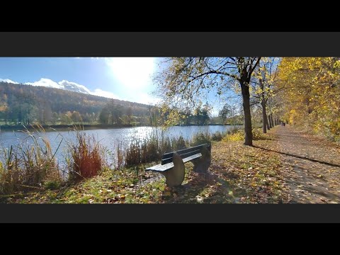 Видео: Наш день #996 Хорошая погода, гуляем. 