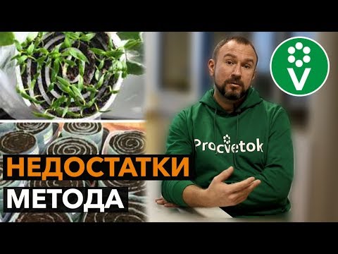 Видео: Стоит ли ВЫРАЩИВАТЬ РАССАДУ В УЛИТКАХ?