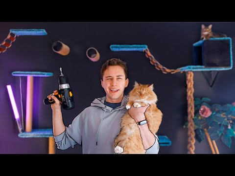 Видео: Я Сделал Игровой Комплекс Для Кошек За 24 Часа