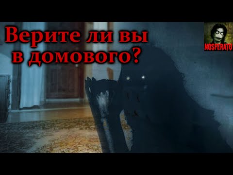 Видео: Истории на ночь - Верите ли вы в домового?