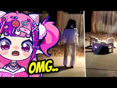 Видео: Не бойтесь, ваша ежедневная доза уже здесь!