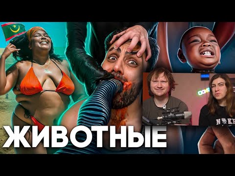 Видео: Мавритания - Королевство Рабов | РЕАКЦИЯ на ТОНИ ТУТ