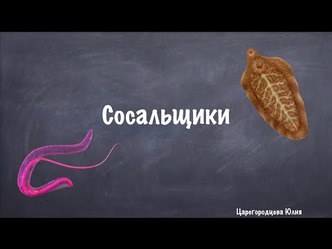 Видео: Паразитология. Плоские черви. Сосальщики