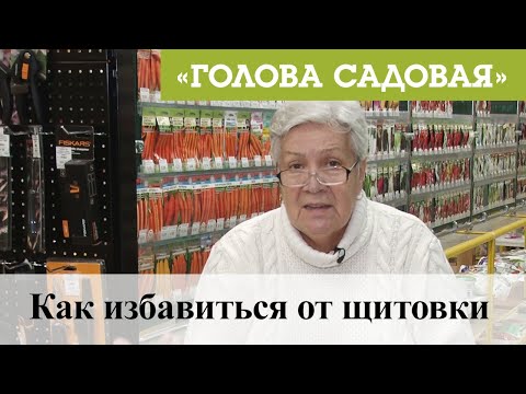 Видео: Голова садовая - Как избавиться от щитовки