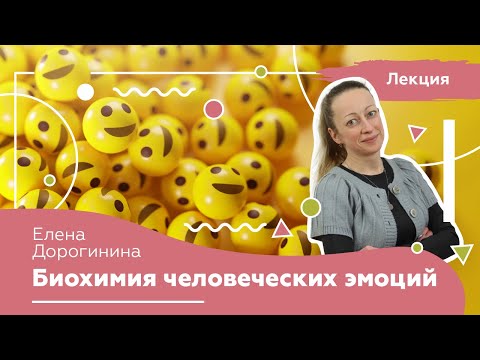 Видео: Чувства и эмоции. Психология. Лекция