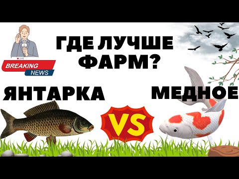 Видео: Янтарка VS Медное - БИТВА КАРПОВЫХ ВОДОЕМОВ РР4 / Русская рыбалка 4