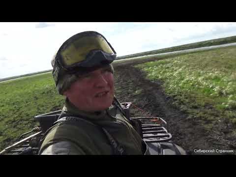Видео: Пробрались с Геркой в непроходимые места. Утки много.🦆🦆🦆🐕🐕🐕