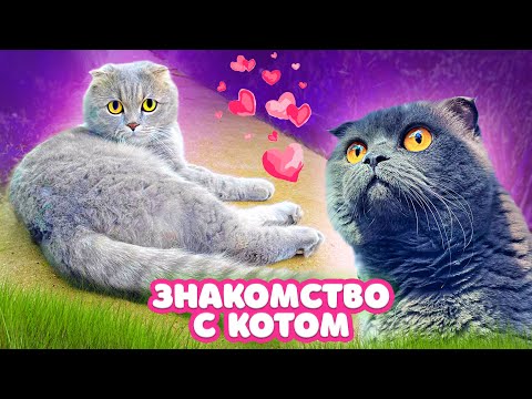 Видео: ДОМАШНЯЯ КОШКА Знакомится с Уличным КОТОМ | ПОБЕГ от ХОЗЯЙКИ | Кошка ОДИН ДЕНЬ в ОГОРОДЕ