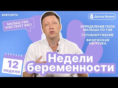 Видео: 12 неделя беременности что происходит с малышом и мамой, как выглядит ребенок, можно ли узнать пол