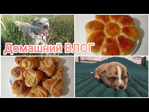 Видео: Домашний ВЛОГ))