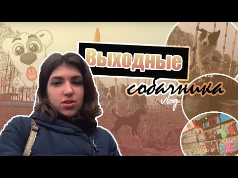 Видео: VLOG ~ ВЫХОДНЫЕ СОБАЧНИКА