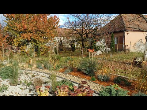 Видео: Яркие зарисовки из осеннего сада. Закарпатье.
