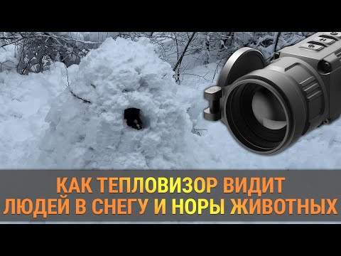 Видео: Видит ли тепловизор человека в снегу и норы животных? Тесты в снежную погоду от iRay!