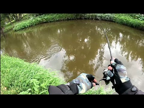 Видео: Мормышинг. Бонус не в Зачет.