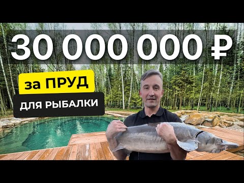 Видео: Почему этот пруд стоит 30 МЛН РУБЛЕЙ?! Такого вы не видели!