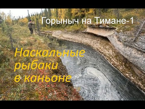 Видео: Северный Тиман (ч.1). Уникальная рыбалка в отвес со скал в каньоне.