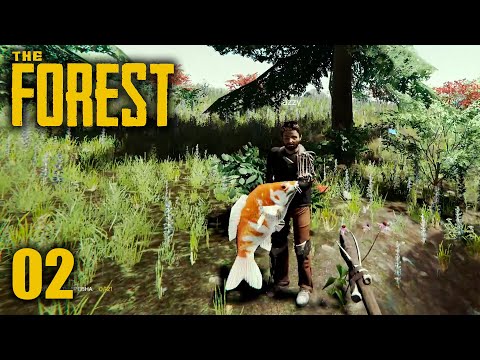 Видео: The Forest - часть 2 - в поисках енотов