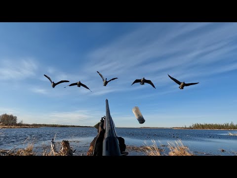 Видео: ОХОТА НА ГУСЯ НА КОЛЫМЕ 2023 В КОНЦЕ МАЯ. GOOSE HUNTING IN KOLYMA 2023 AT THE END OF MAY