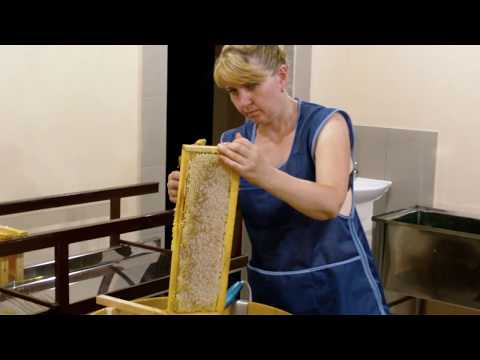 Видео: Качаем мёд  в цеху 2017