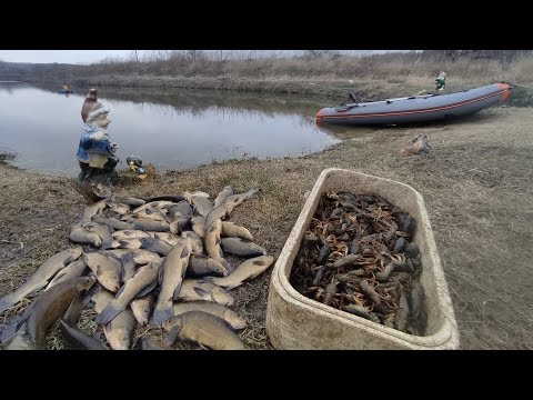 Видео: Жизнь У Пруда ,  разведение раков и рыбы в домашних условиях