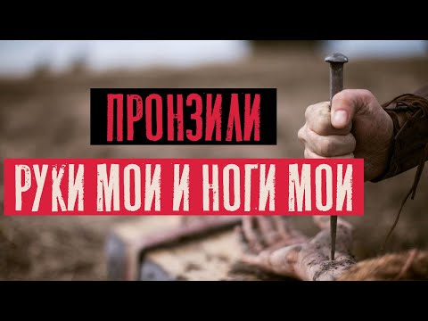 Видео: Пронзили руки мои и ноги мои | Псалом 21:17 | Раввин Михаил Финкель