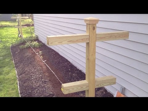 Видео: Как построить шпалеру для малины