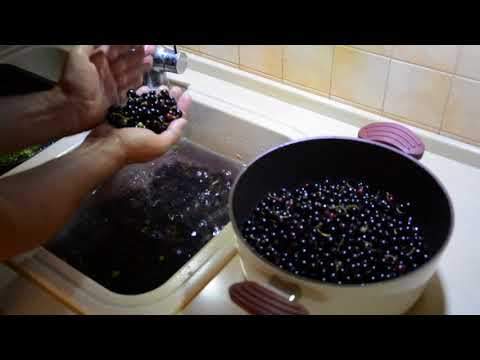 Видео: Разборка на кухне с черной смородиной . Как перебрать черную смородину ?