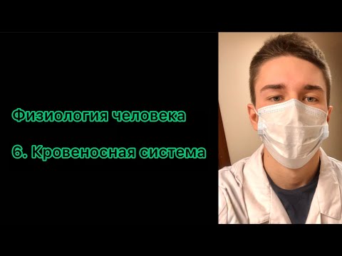 Видео: Лекция 6. Кровеносная система. Нормальная физиология.