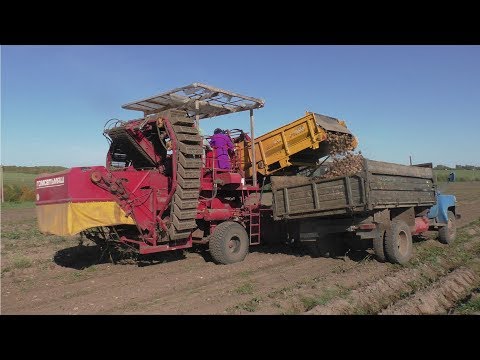 Видео: Уборка картофеля 2019