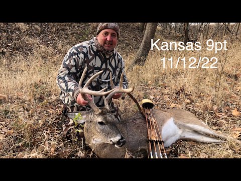 Видео: Традиционная охота с луком, Gettin Stickbow Close, Jims 2022 Kansas 9pt, луки Black Widow, рекурс...