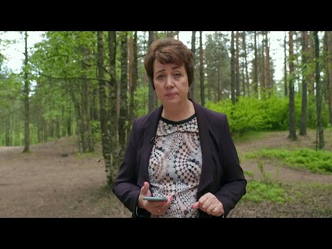 Видео: 843. В.О. - Почему часто снятся змеи?