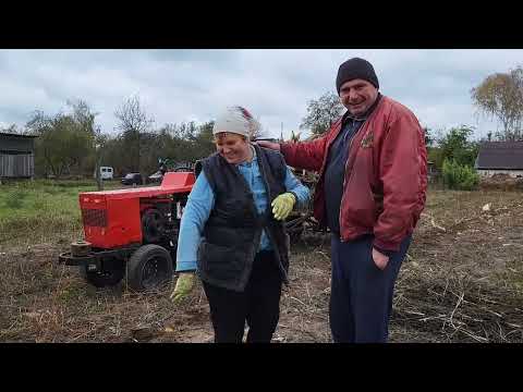 Видео: Олексій Товстий.  Прибираємо город. Про чуб і верби