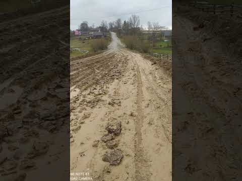 Видео: дорога виживання Бориня   Боберка 2023р