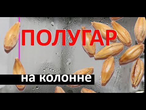 Видео: Хлебное вино,  полугар. на короткой насадочной колонне. Супер ароматно.