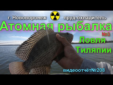 Видео: атомная рыбалка №3. Ловля тиляпии г. Нововоронеж.