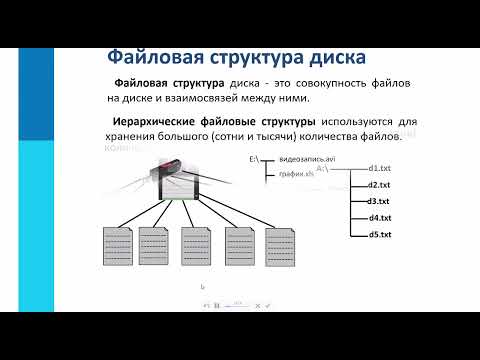 Видео: Файлы💽 и 📁папки7️⃣ класс