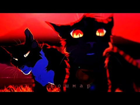 Видео: Кᴏᴛы-Вᴏиᴛᴇᴧи ᴋᴧиᴨ - [ Кᴏɯʍᴀᴩ ]