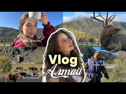 Видео: VLOG: Путешествие на Алтай/Куда ходить точно НЕ стоит/Чем заняться?