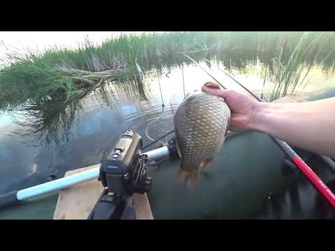 Видео: ловля карася с лодки на поплавок в камышах Рыбалка с ночёвкой